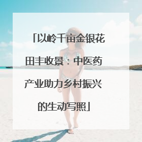 以岭千亩金银花田丰收景：中医药产业助力乡村振兴的生动写照