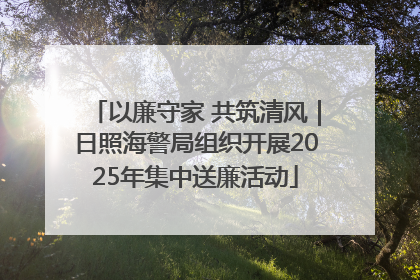 以廉守家 共筑清风｜日照海警局组织开展2025年集中送廉活动