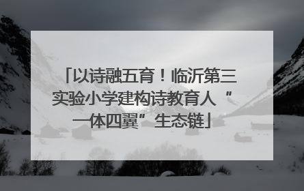 以诗融五育！临沂第三实验小学建构诗教育人“一体四翼”生态链