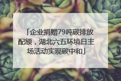企业捐赠79吨碳排放配额，湖北六五环境日主场活动实现碳中和