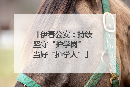 伊春公安：持续坚守“护学岗” 当好“护学人”