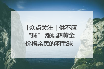 众点关注｜供不应“球” 涨幅超黄金 价格亲民的羽毛球为何身价飞涨？