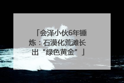 会泽小伙6年锤炼：石漠化荒滩长出“绿色黄金”