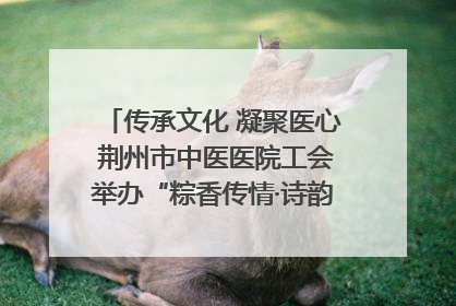 传承文化 凝聚医心 荆州市中医医院工会举办“粽香传情·诗韵端午”系列活动