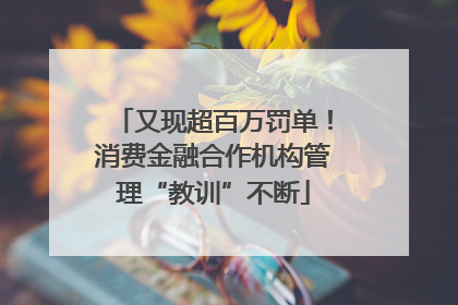 又现超百万罚单！消费金融合作机构管理“教训”不断