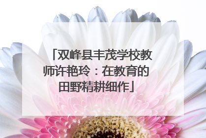 双峰县丰茂学校教师许艳玲：在教育的田野精耕细作
