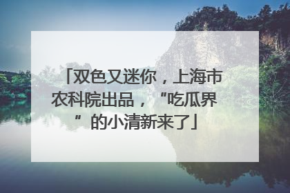 双色又迷你，上海市农科院出品，“吃瓜界”的小清新来了