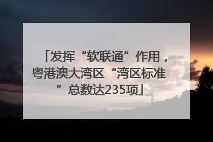 发挥“软联通”作用，粤港澳大湾区“湾区标准”总数达235项