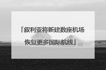 叙利亚将新建数座机场 恢复更多国际航线