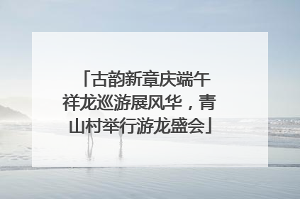 古韵新章庆端午 祥龙巡游展风华，青山村举行游龙盛会