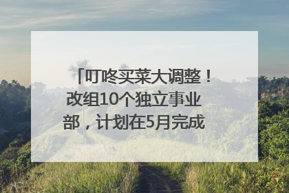 叮咚买菜大调整！改组10个独立事业部，计划在5月完成App端全面改版