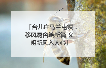台儿庄马兰屯镇：移风易俗绘新篇 文明新风入人心