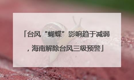台风“蝴蝶”影响趋于减弱，海南解除台风三级预警