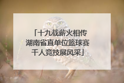 十九载薪火相传 湖南省直单位篮球赛千人竞技展风采