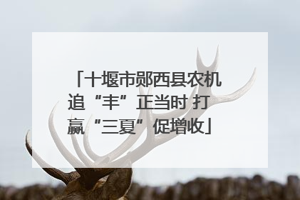 十堰市郧西县农机追“丰”正当时 打赢“三夏”促增收
