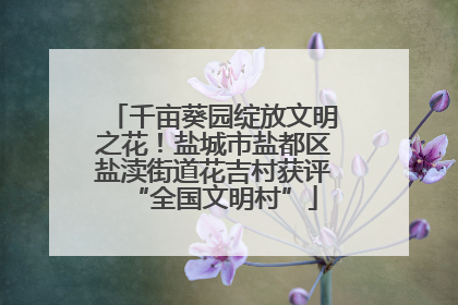 千亩葵园绽放文明之花！盐城市盐都区盐渎街道花吉村获评“全国文明村”