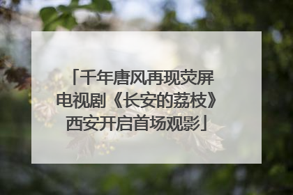 千年唐风再现荧屏 电视剧《长安的荔枝》西安开启首场观影
