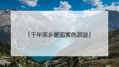千年茶乡邂逅紫色浪漫