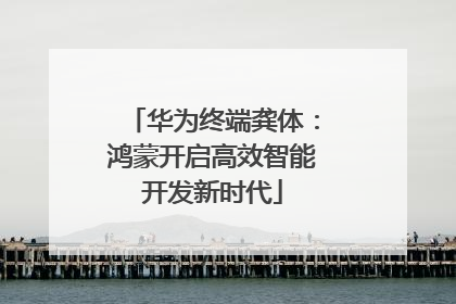 华为终端龚体：鸿蒙开启高效智能开发新时代
