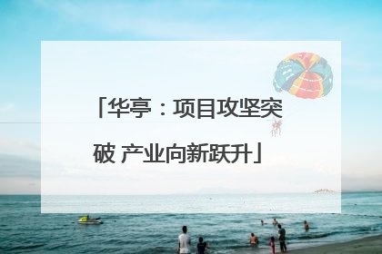 华亭：项目攻坚突破 产业向新跃升