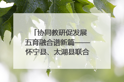 协同教研促发展 五育融合谱新篇——怀宁县、太湖县联合教研活动在月山镇中心学校成功举办