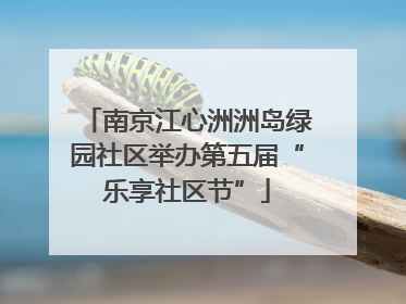 南京江心洲洲岛绿园社区举办第五届“乐享社区节”