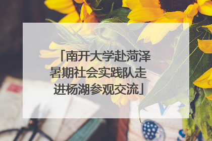南开大学赴菏泽暑期社会实践队走进杨湖参观交流