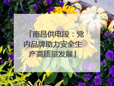 南昌供电段：党内品牌助力安全生产高质量发展