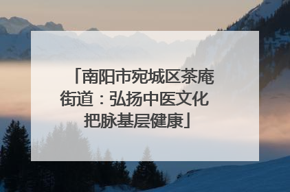 南阳市宛城区茶庵街道：弘扬中医文化 把脉基层健康