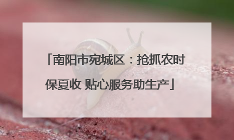 南阳市宛城区：抢抓农时保夏收 贴心服务助生产