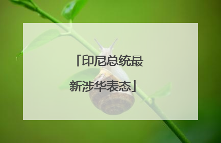 印尼总统最新涉华表态