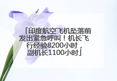 印度航空飞机坠落前发出紧急呼叫！机长飞行经验8200小时，副机长1100小时