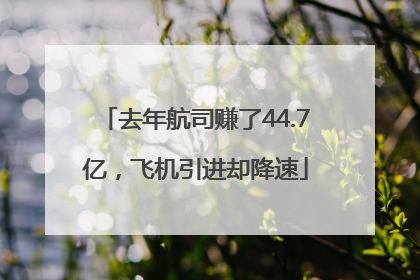 去年航司赚了44.7亿，飞机引进却降速