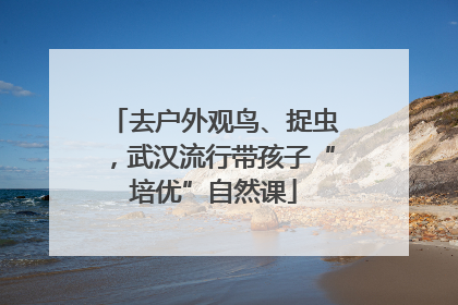 去户外观鸟、捉虫，武汉流行带孩子“培优”自然课