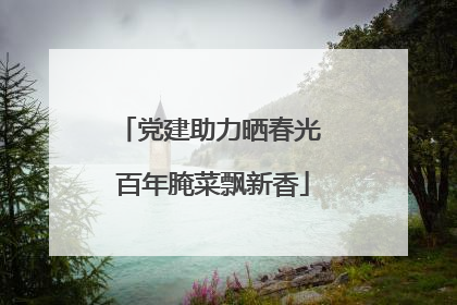 党建助力晒春光 百年腌菜飘新香