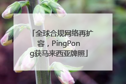 全球合规网络再扩容，PingPong获马来西亚牌照