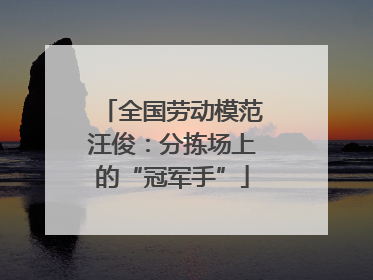 全国劳动模范汪俊：分拣场上的“冠军手”