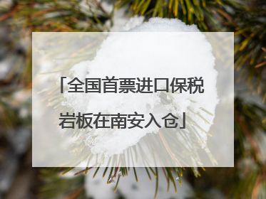 全国首票进口保税岩板在南安入仓