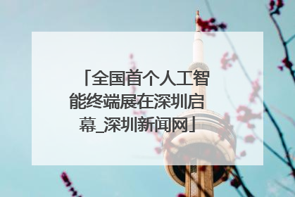 全国首个人工智能终端展在深圳启幕_深圳新闻网