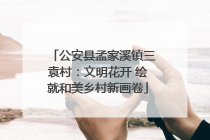 公安县孟家溪镇三袁村：文明花开 绘就和美乡村新画卷