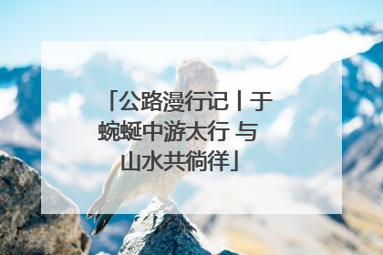 公路漫行记丨于蜿蜒中游太行 与山水共徜徉