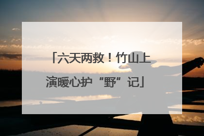 六天两救！竹山上演暖心护“野”记