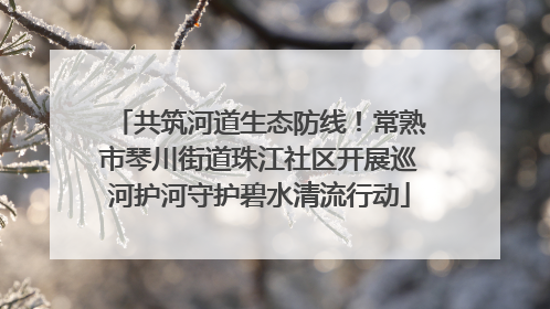 共筑河道生态防线！常熟市琴川街道珠江社区开展巡河护河守护碧水清流行动