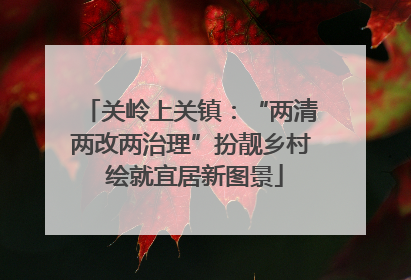 关岭上关镇：“两清两改两治理”扮靓乡村 绘就宜居新图景