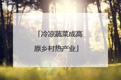 冷凉蔬菜成高原乡村热产业