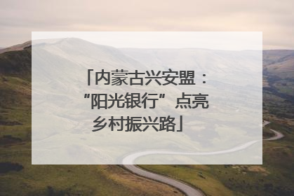 内蒙古兴安盟：“阳光银行”点亮乡村振兴路