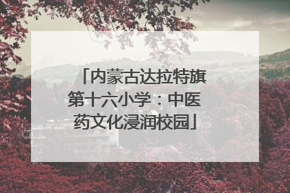 内蒙古达拉特旗第十六小学：中医药文化浸润校园