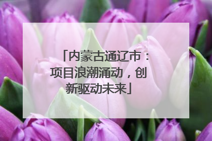 内蒙古通辽市：项目浪潮涌动，创新驱动未来