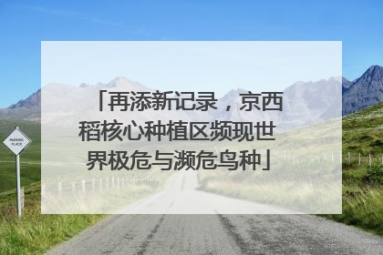 再添新记录，京西稻核心种植区频现世界极危与濒危鸟种