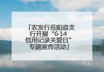 农发行岳阳县支行开展“6·14信用记录关爱日” 专题宣传活动